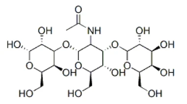 product-381-213 product-381-213
